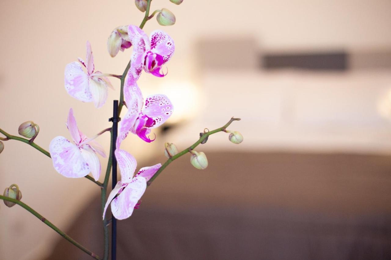Casapaola B&B Rooms Ачиреале Экстерьер фото